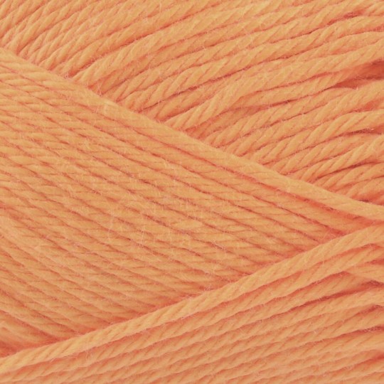 5593 АБРИКОСОВЫЙ