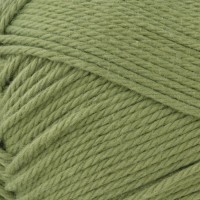 5562 Т.ОЛИВКОВЫЙ