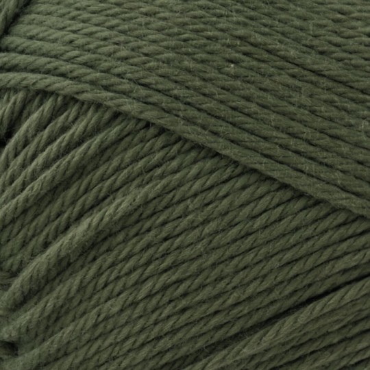 5563 БОЛОТНЫЙ