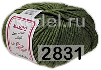 Пряжа Сеам Mambo 2831 ЗЕЛЕНЫЙ