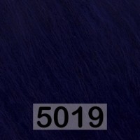 5019 ЧЕРНИЛЬНЫЙ