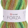 Пряжа YarnArt Forza