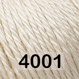 4001 СЛ.КОСТЬ