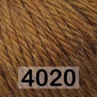 4020 КОРИЧНЕВО-ЖЕЛТЫЙ