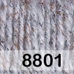 8801 СЕР.КОРИЧН.