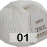 Пряжа Сеам Tencel Merino