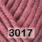 3017 ПЮСОВЫЙ