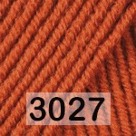3027 РЫЖИЙ