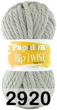 Пряжа Kamgarn BIG TWIST PAPATYA 2920 серый