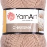 Пряжа YarnArt Charisma
