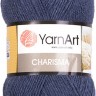 Пряжа YarnArt Charisma