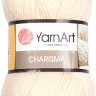 Пряжа YarnArt Charisma