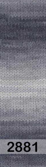 2881 СЕРЫЙ