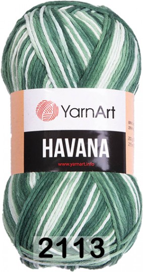 Пряжа YarnArt Havana 2113 зелен.мятный
