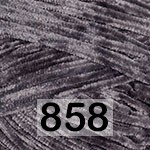 858 СТАЛЬНОЙ