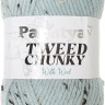 Пряжа Kamgarn TWEED CHUNKY PAPATYA