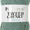 Пряжа Kamgarn TWEED CHUNKY PAPATYA