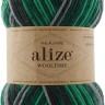 Пряжа Alize Wooltime