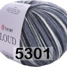 Пряжа YarnArt Cloud
