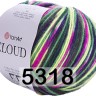 Пряжа YarnArt Cloud