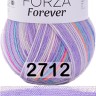 Пряжа YarnArt Forza Forever