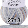 Пряжа YarnArt Forza Forever