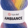 Пряжа YarnArt Ambiance