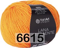 6615 АПЕЛЬСИН