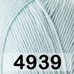 4939 МАГИЧЕСКАЯ МЯТА