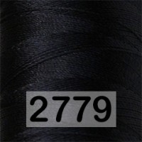 2779 ИССИНЯ ЧЕРНЫЙ
