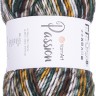 Пряжа YarnArt Passion