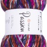 Пряжа YarnArt Passion