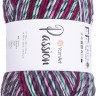 Пряжа YarnArt Passion